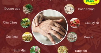 "Nhu Can Dưỡng Huyết" bài thuốc hỗ trợ điều trị Parkinson hiệu quả